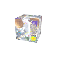 Новогодняя ночь Салют купить в Подольске | podolsk.salutsklad.ru