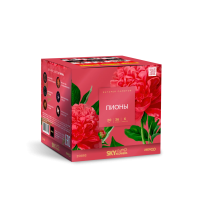 Пионы Салют купить в Подольске | podolsk.salutsklad.ru