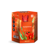 Тюльпаны Салют купить в Подольске | podolsk.salutsklad.ru