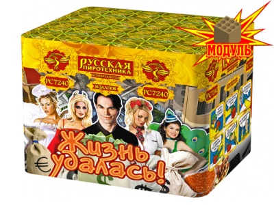 Жизнь удалась Фейерверк купить в Подольске | podolsk.salutsklad.ru